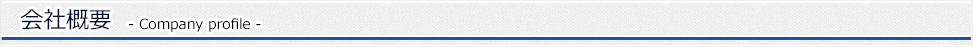 会社概要 (Company profile)