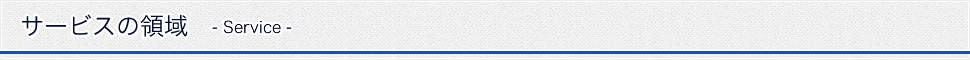 サービスの領域（SERVICE）